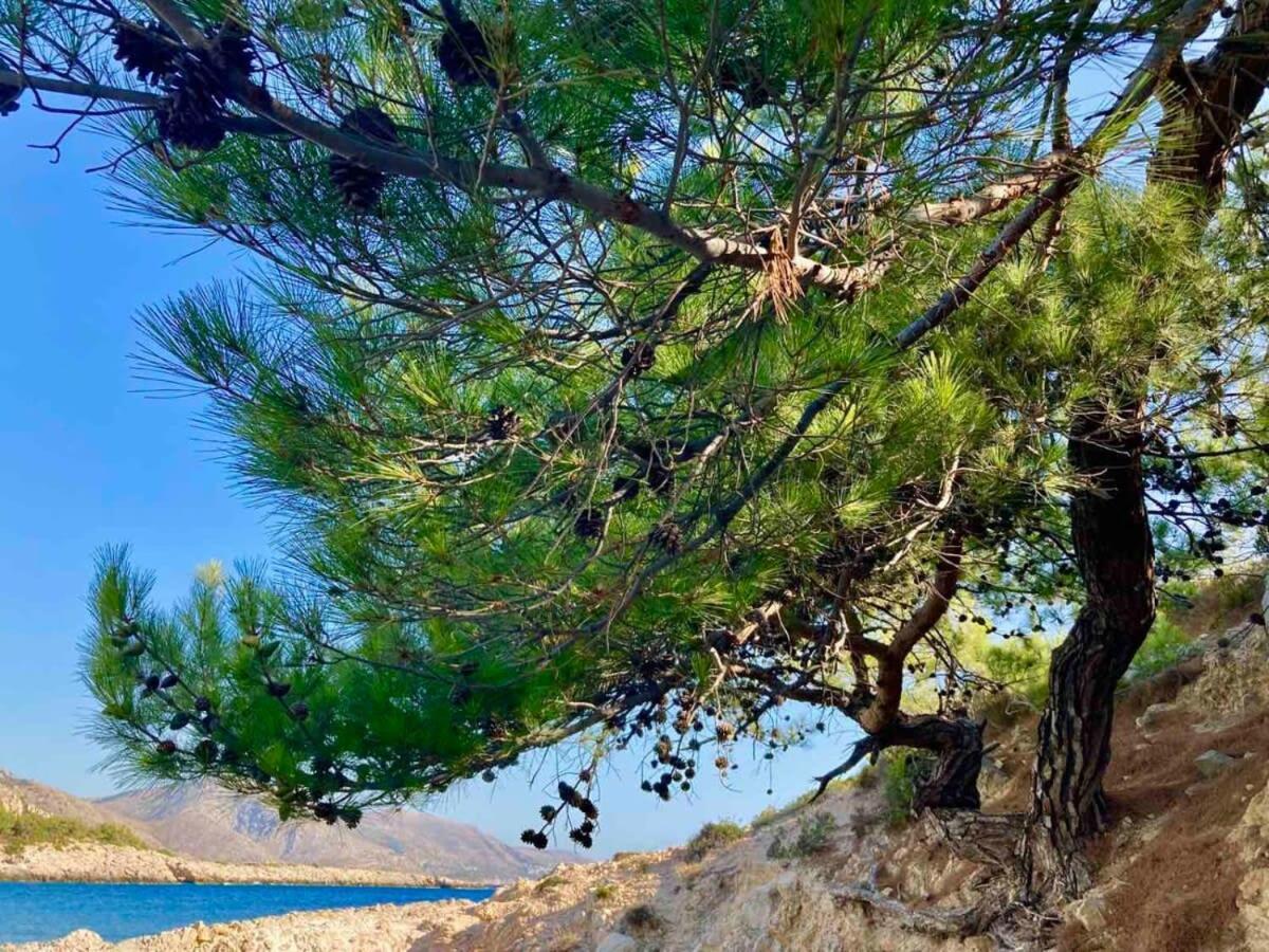 Charming Chios Island Getaway In A Cozy Studio Екстериор снимка
