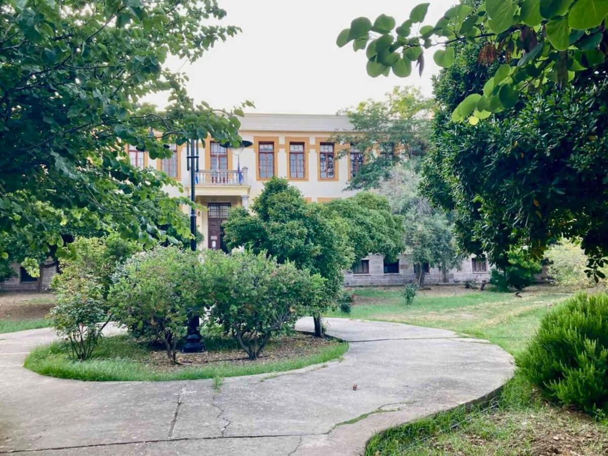 Charming Chios Island Getaway In A Cozy Studio Екстериор снимка